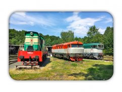 Magnes 010: lokomotywy w Łużnej