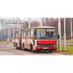 Hrnek - autobus Karosa B741