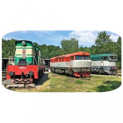 T-shirt - Lokomotiven in Lužná