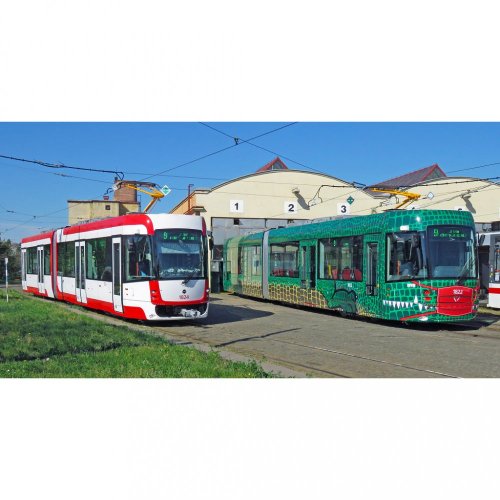Tasse - Straßenbahnen EVO2 "Drak" Brno - biel i zieleń