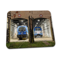 Mauspad - die Lokomotiven 1216 und 380