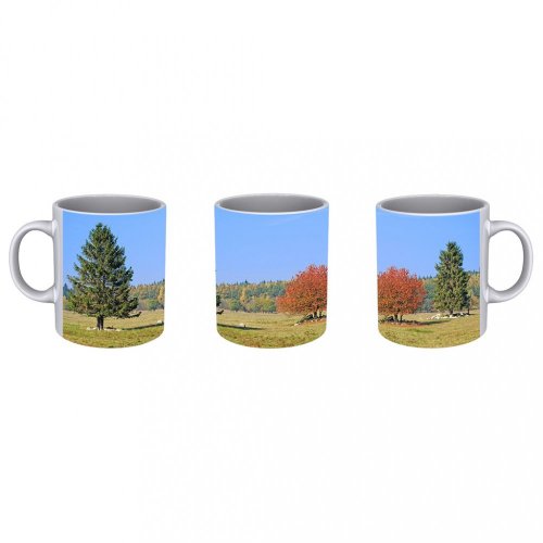 Mug with your own design