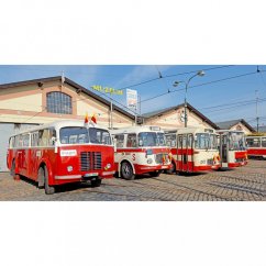 Mug - Prague historical buses