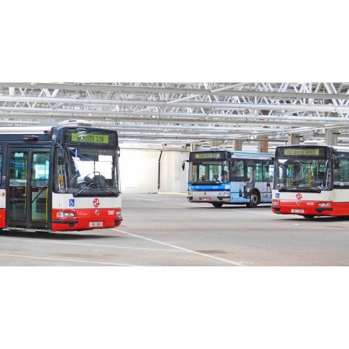 Bögre - Citybus buszok