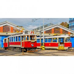 Mug - Prague's historic trams T1 and Ringhoffer