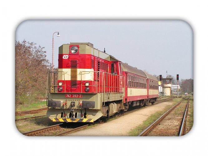 Magnet: locomotive 742