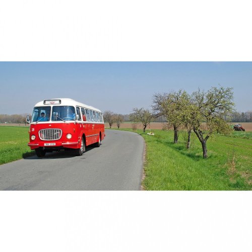 Hrnek - autobus Škoda 706 RTO