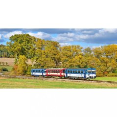 Tasse - 810 Dieseltriebwagen